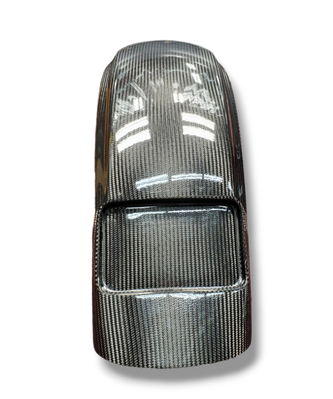 Harley Bagger Rear Fender - Dirty Bird Design