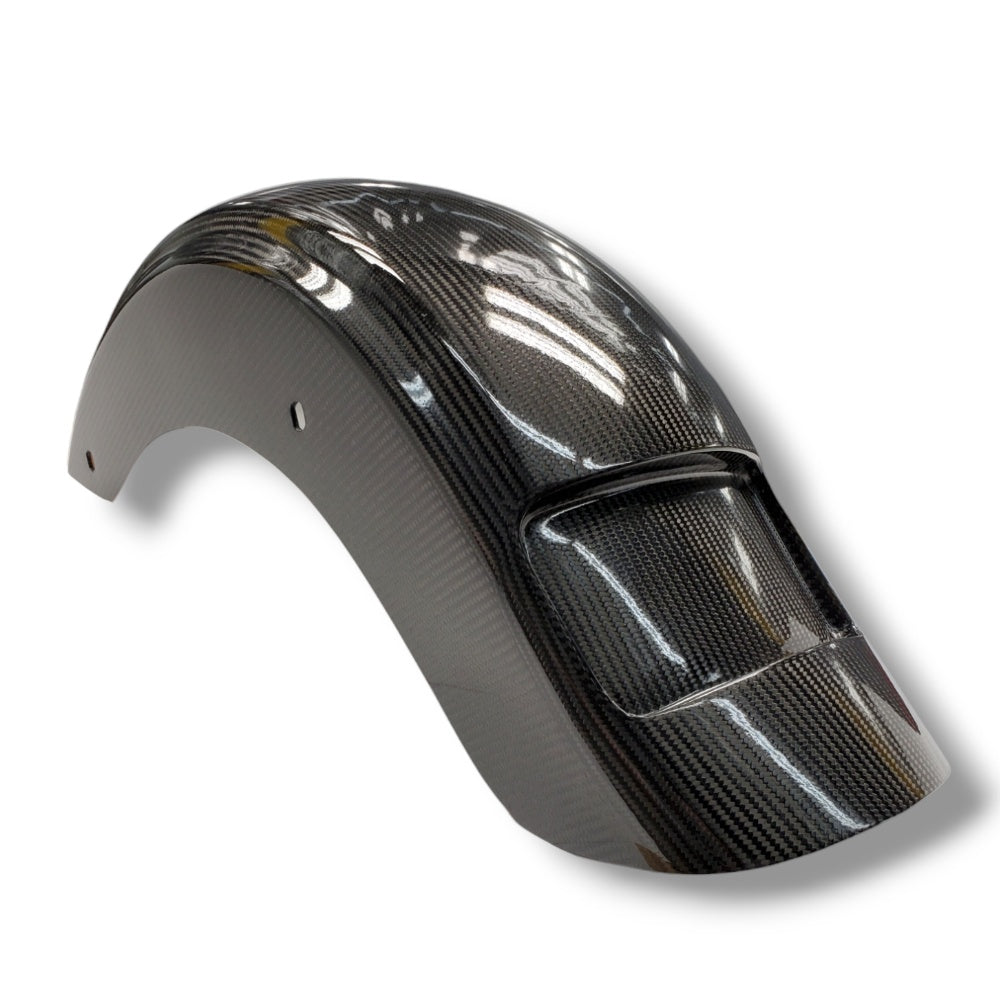 Harley Bagger Rear Fender - Dirty Bird Design